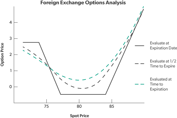 Foreign Exchange Options Analysis